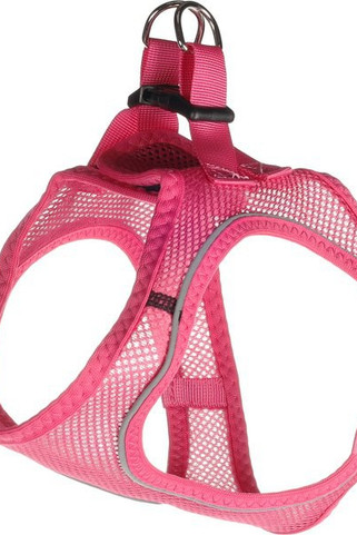 Flamingo f-519204 - Harnais Step&Go