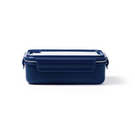 Stamina FI1560 - CARMEL PP lunch box with transparent lid