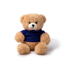 Stamina FT1853 - JAZZ Plush teddy bear with sweatshirt made of soft polyester