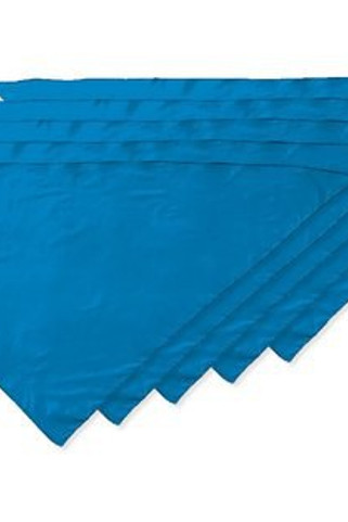 Pack de 50 Valento PNVAFIE - Foulard triangulaire FIESTA