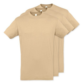 Pack of 3 SOL'S 11380 - REGENT Unisex Round Collar T Shirt