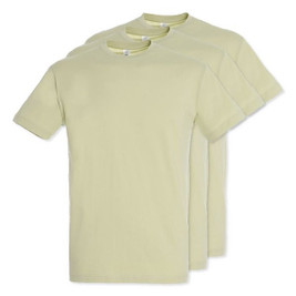 Pack of 30 SOL'S 11380 - REGENT Unisex Round Collar T Shirt