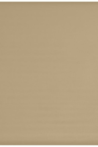 Coaster - Egotier UN5677