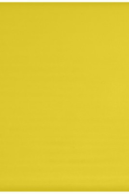 Coaster - Egotier UN5677