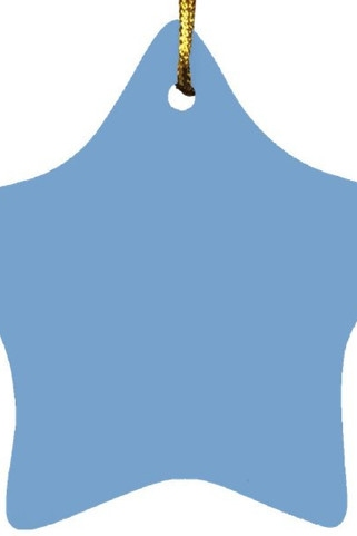 Star Ornament - Egotier SUBORNS
