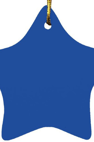Star Ornament - Egotier SUBORNS