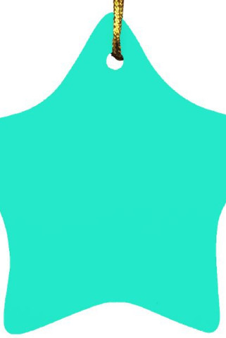 Star Ornament - Egotier SUBORNS