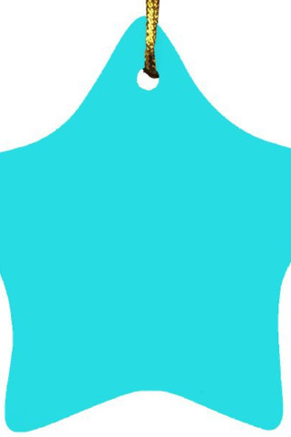 Star Ornament - Egotier SUBORNS