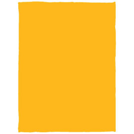 Cozy Plush Fleece Blanket - 30x40 - Egotier VPS