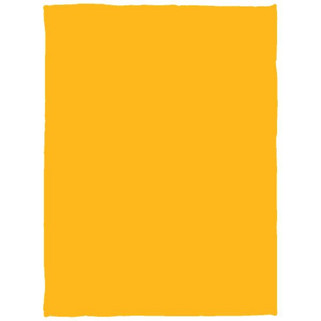 Manta de felpa acogedora - 30x40 - Egotier VPS