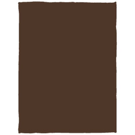 Cozy Plush Fleece Blanket - 30x40 - Egotier VPS