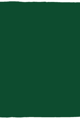 Cozy Plush Fleece Blanket - 30x40 - Egotier VPS