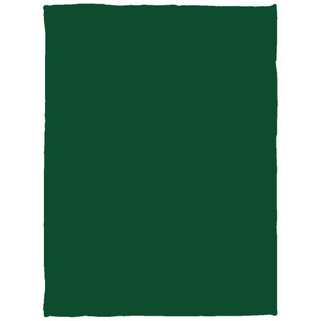 Cozy Plush Fleece Blanket - 30x40 - Egotier VPS