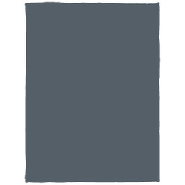 Cozy Plush Fleece Blanket - 30x40 - Egotier VPS