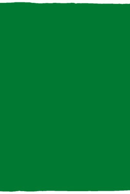 Cozy Plush Fleece Blanket - 30x40 - Egotier VPS