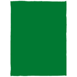 Cozy Plush Fleece Blanket - 30x40 - Egotier VPS