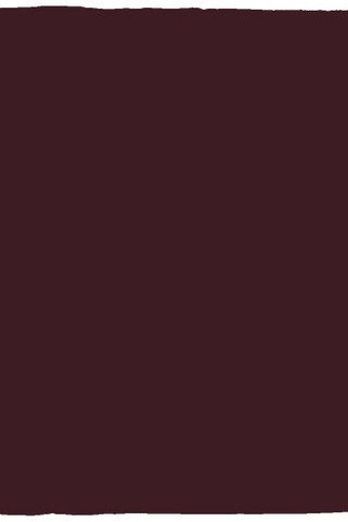 Cozy Plush Fleece Blanket - 30x40 - Egotier VPS