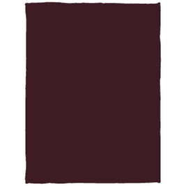 Cozy Plush Fleece Blanket - 30x40 - Egotier VPS