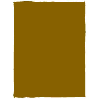 Cozy Plush Fleece Blanket - 30x40 - Egotier VPS