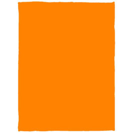 Manta de felpa acogedora - 30x40 - Egotier VPS