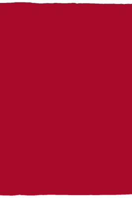 Manta de felpa acogedora - 30x40 - Egotier VPS