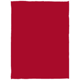 Cozy Plush Fleece Blanket - 30x40 - Egotier VPS