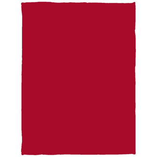 Cozy Plush Fleece Blanket - 30x40 - Egotier VPS