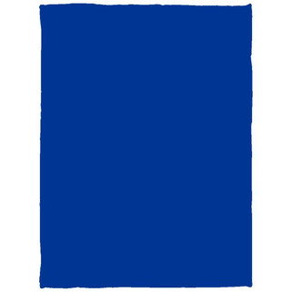 Cozy Plush Fleece Blanket - 30x40 - Egotier VPS