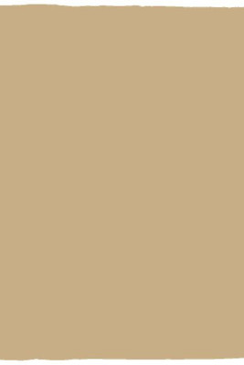 Manta de felpa acogedora - 30x40 - Egotier VPS