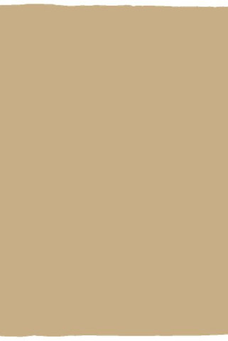 Manta de felpa acogedora - 30x40 - Egotier VPS