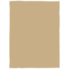 Manta de felpa acogedora - 30x40 - Egotier VPS