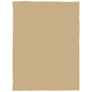 Manta de felpa acogedora - 30x40 - Egotier VPS