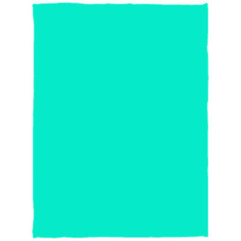 Manta de felpa acogedora - 30x40 - Egotier VPS