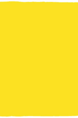 Cozy Plush Fleece Blanket - 30x40 - Egotier VPS