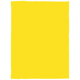 Cozy Plush Fleece Blanket - 30x40 - Egotier VPS