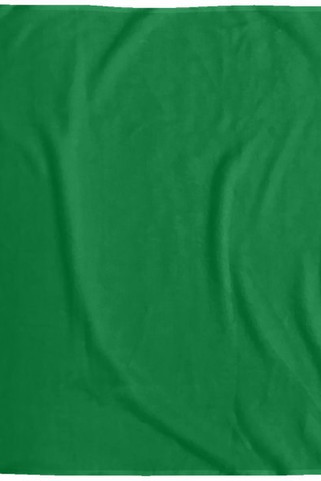 Cozy Plush Fleece Blanket - 60x80 - Egotier VPL