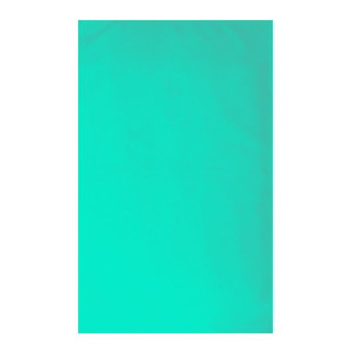 16x25 Rally Towel - Egotier RLTL