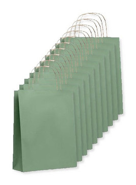 Pack of 100 GiftRetail MO6172 - PAPER TONE S Eco-Friendly Small Kraft Paper Gift Bags with Handles