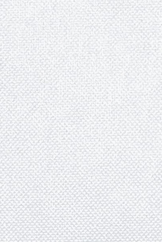 Valento MLVAIND - Disposable placemat HOSTEX