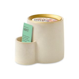 Modern Sprout 103085 - Ember Earth Candle + Planter