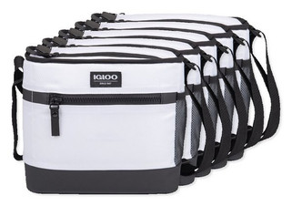 Pack of 5 Igloo 100400 - Maddox Cooler