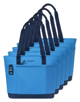 Pack de 5 Igloo 102476 - Enfriador Suave Day Chiller Recycled Poly Tote para 20 latas