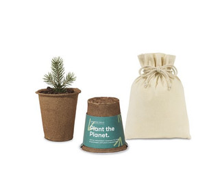 Modern Sprout 100714 - One For One Tree Kits