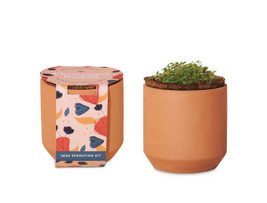 Modern Sprout 100900 - Mini kit de cultivo de terracota: amapolas color champán