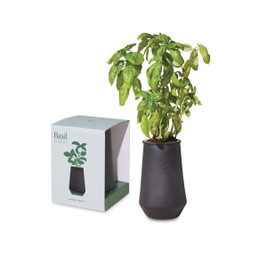 Modern Sprout 100929 - Tapered Tumbler Grow Kit