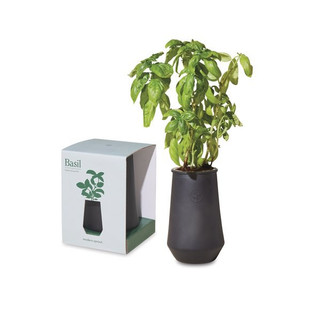 Modern Sprout 100929 - Tapered Tumbler Grow Kit