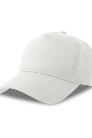 Atlantis ACEGON - Atlantis Egon 5 Panel Structured High Profile Curved Visor Organic Cap