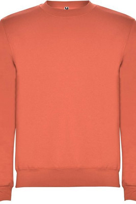 Roly R1070 - Clasica unisex crewneck sweater