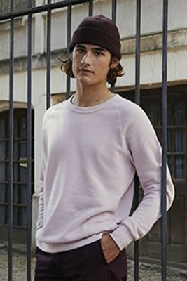 Alternative AA9575 - Sweatshirt Éco-Confort pour Hommes