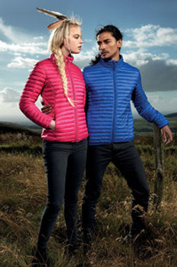 2786 TS018 - Mens tribe fineline padded jacket